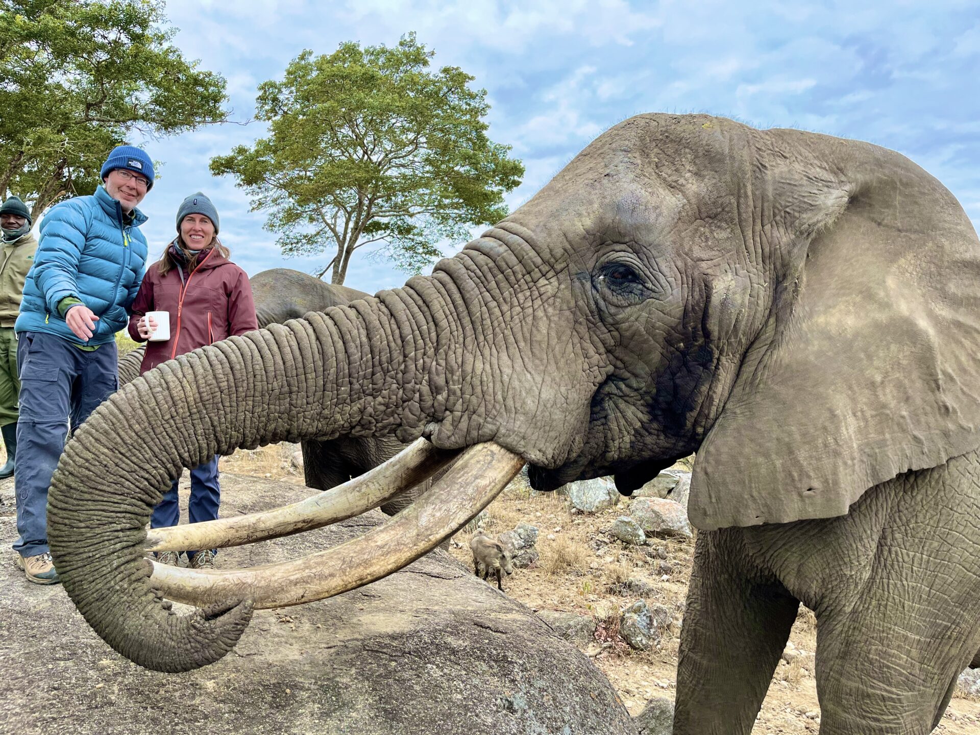 matt and kelly wanderfonder africa